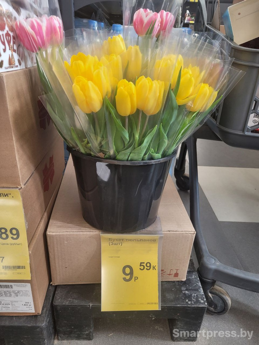 сеть Грошик-тюльпаны