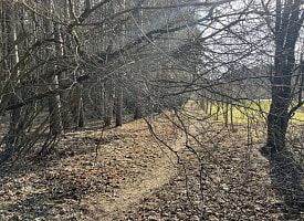 Рябов пообещал белорусам дожди, туманы и даже мокрый снег 