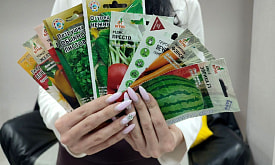 Семена в подарок дачнику на Новый год: хорошая идея или моветон?