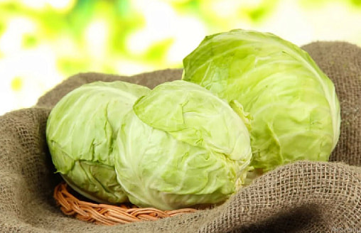 Как сохранить белокочанную капусту до весны: пять нехитрых правил дачника
