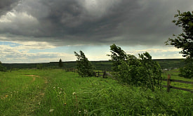 Как защитить молодые посадки от ветра весной: практические решения, которые реально работают