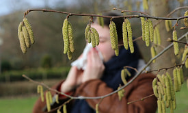 Главный “враг” – не тополиный пух. Рассказываем, какие деревья чаще всего вызывают аллергию у белорусов
