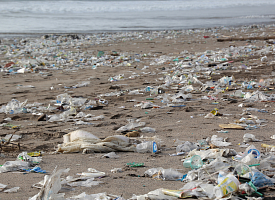 Учёные создали сверхпрочный биопластик, который способен разлагаться за 5 дней при комнатной температуре