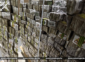 На $62 млн. Белорусские таможенники изъяли рекордные 1,3 тонны гашиша и мефедрона