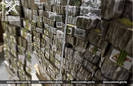 На $62 млн. Белорусские таможенники изъяли рекордные 1,3 тонны гашиша и мефедрона