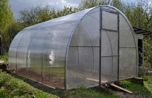 Теплица без сюрпризов: 5 шагов, которые нужно сделать до старта сезона