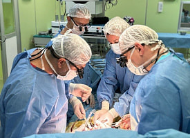 В Беларуси провели уникальную операцию новорожденному весом 2,5 кг