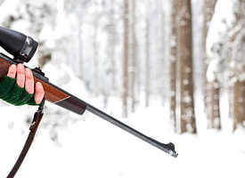 Штраф до 1350 рублей. С 25 января в Беларуси запретили охоту на этих животных