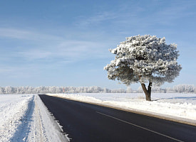 Местами до -19°С. Синоптики вновь выписали оранжевый уровень опасности 31 января в Беларуси