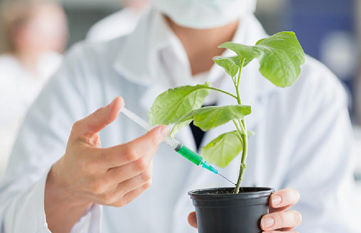 Стимуляторы роста растений: 5 случаев, когда они действительно нужны