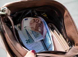 В Бобруйске девушка хранила евро в сумке – теперь не расплатится валютой