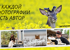 Фотография в открытом профиле - это не разрешение ее использовать. Обращение редакции Смартпресс