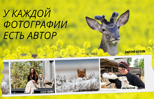 Фотография в открытом профиле - это не разрешение ее использовать. Обращение редакции Смартпресс