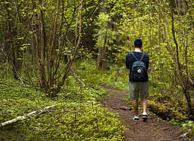 Штраф до 540 рублей. Почти по всей Беларуси ограничили посещение лесов