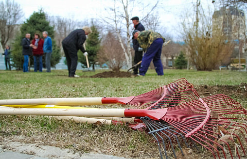 Могут ли наказать за отказ от субботника? Узнали, положен ли за него выходной и куда идут наши деньги