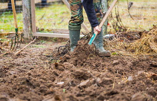 Почему весной нельзя перекапывать все подряд