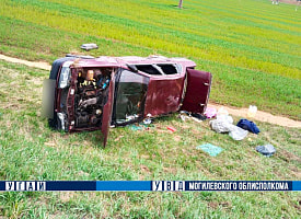 Авария под Могилёвом: в больницу увезли семью с тремя детьми