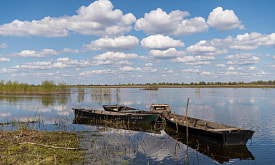 Аэропорт для 50 тысяч птиц: как Туровский луг весной становится главным вокзалом для пернатых