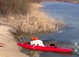 В Гомеле собака провалилась под лёд — животное барахталось в ледяной воде в 30 м от берега