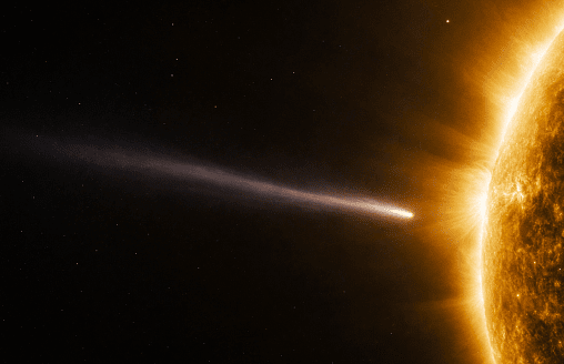 Вот и всё. Солнце поглотило самую яркую комету 2026 года – взгляните, как это было