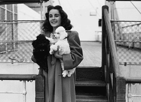 “Налей себе выпить, нанеси немного помады и возьми себя в руки”. День рождения Элизабет Тейлор