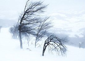 Синоптики объявили штормовое предупреждение для 5 областей Беларуси. Чего ждать 26 января?