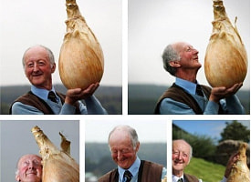 “От комикса до крысы”: Белорусы в соцсетях делятся идеями, кошмарами и воспоминаниями к 14 февраля