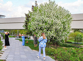 Как белорусам за 5 дней отпуска получить 11 дней отдыха? 3 формулы, которые работают в апреле