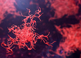 Опасные амебы распространяются по миру: ученые предупреждают о новой угрозе для здоровья