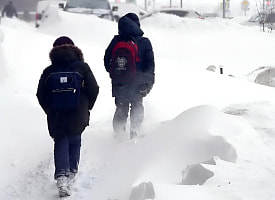 В одном из районов Беларуси отменили занятия в школах