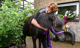 Пони Сирень, павлины-лукоеды и коты-смотрители. Семья под Минском заботится о целом зоосаде