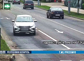 Очевидцы пожаловались на женщину-водителя из Гомеля – ГАИ оштрафовала её на 9000 рублей и лишила прав
