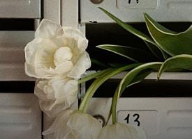 Весенние мероприятия на свежем воздухе …И связанные с природой