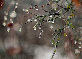 “Оттепели станут длиннее”: синоптик Дмитрий Рябов рассказал, какой будет последняя неделя зимы