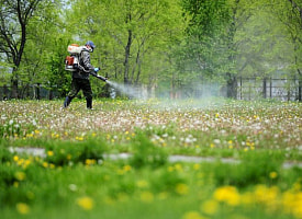 В Минске 3 дня просят не ходить к Комсомольскому озеру, пляжу в Дроздах и набережной Свислочи – что там случилось?