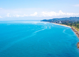 Скидки до 50%. “Белавиа” объявила месяц распродаж – куда рейсы?