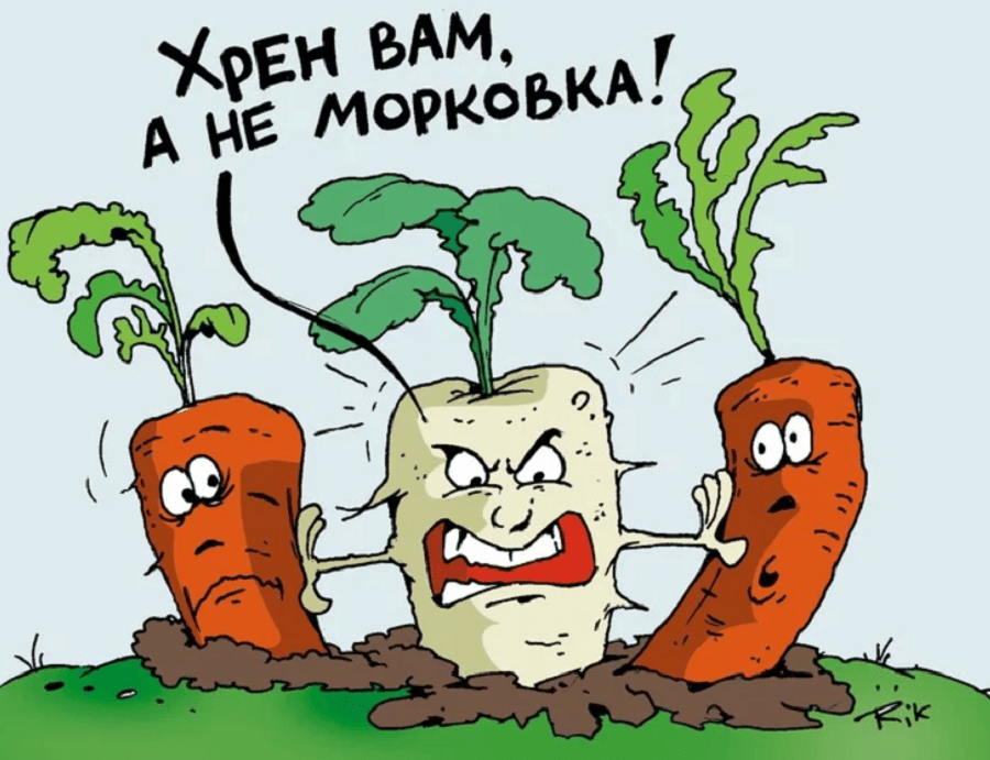 хрен вам, а не морковка