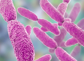 Учёные нашли “побочный продукт”, который оказался в 100 раз сильнее антибиотика