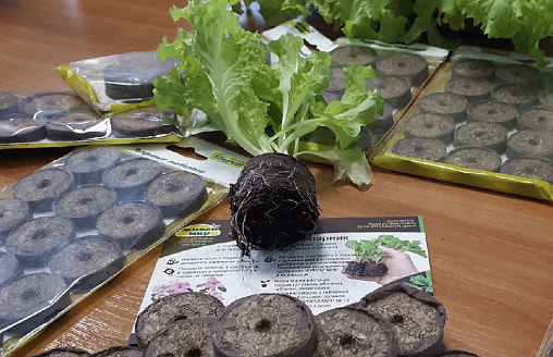 Торфяные таблетки: удобство или переплата? Разбираемся, что на самом деле покупает дачник