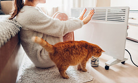 “Тепло ли тебе, девица?” Что поможет согреться, если батареи не справляются