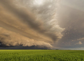 В Беларуси объявлен оранжевый уровень опасности на 23 мая