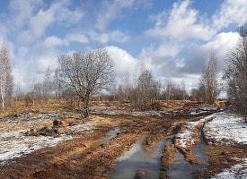 Какой “плюс” устроит слякоть в Беларуси после сильного снега? Белгидромет рассказал