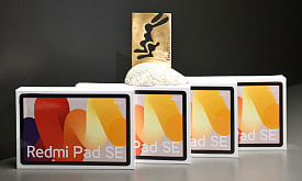 Голосование за “Приз зрительских симпатий” фотоконкурса “Дикая природа Беларуси 2025”