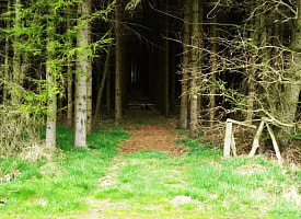 “Выходят голодными” – Белорусов предупредили об опасности с приходом весны