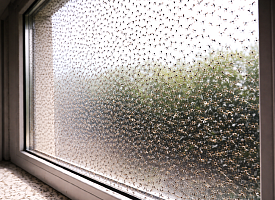 Ждать ли этой весной нашествия мошек, как 2 года назад? В НАН объяснили, от чего это зависит