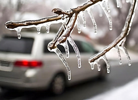 В Беларуси объявили оранжевый уровень опасности и предупредили о “ледяном дожде”. Где именно?