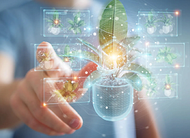 Неожиданный союз растений и бактерий может изменить производство лекарств