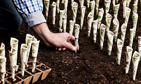 Дача дорожает? Посчитали, во сколько сегодня обходится подготовка участка к сезону