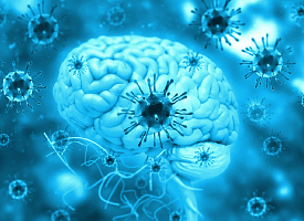 Паразит, который “не спит”. Ученые выяснили, кто живет в мозге почти 1/3 людей