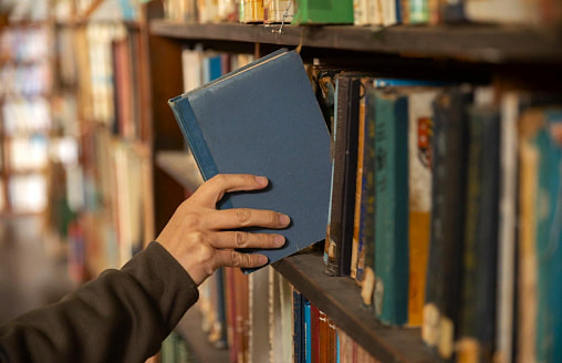 Житель Молодечно хранил доллары в книге – теперь без денег